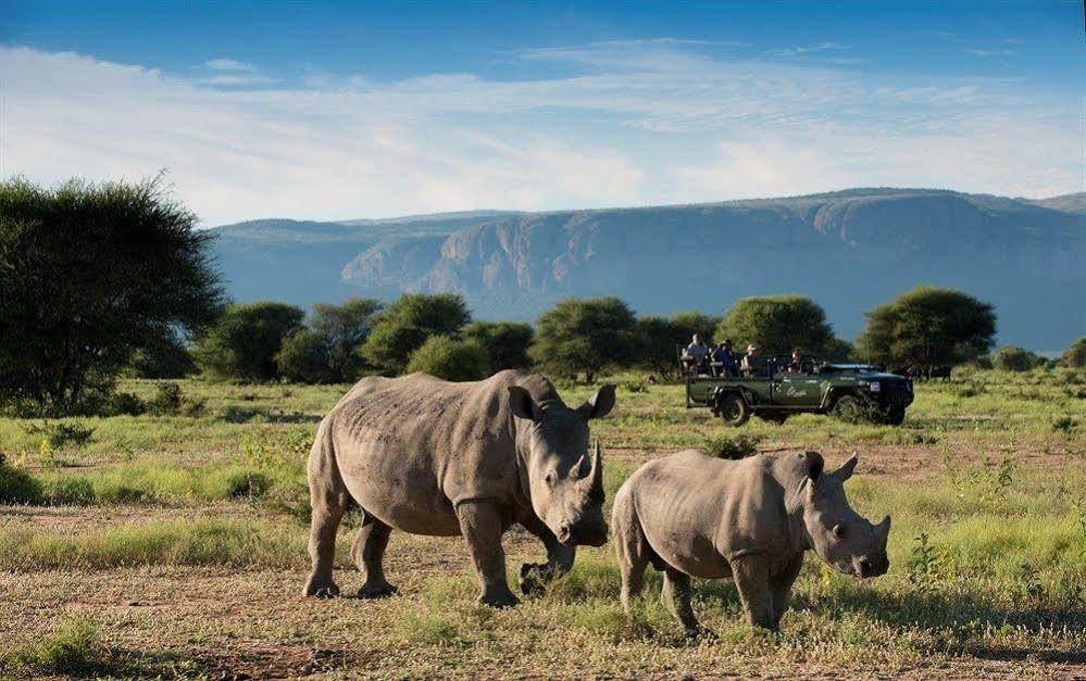 ホテル Marataba Safari Co Marakele National Park エクステリア 写真
