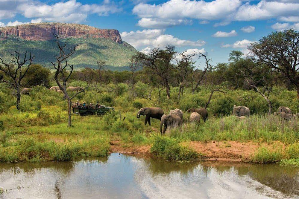 ホテル Marataba Safari Co Marakele National Park エクステリア 写真