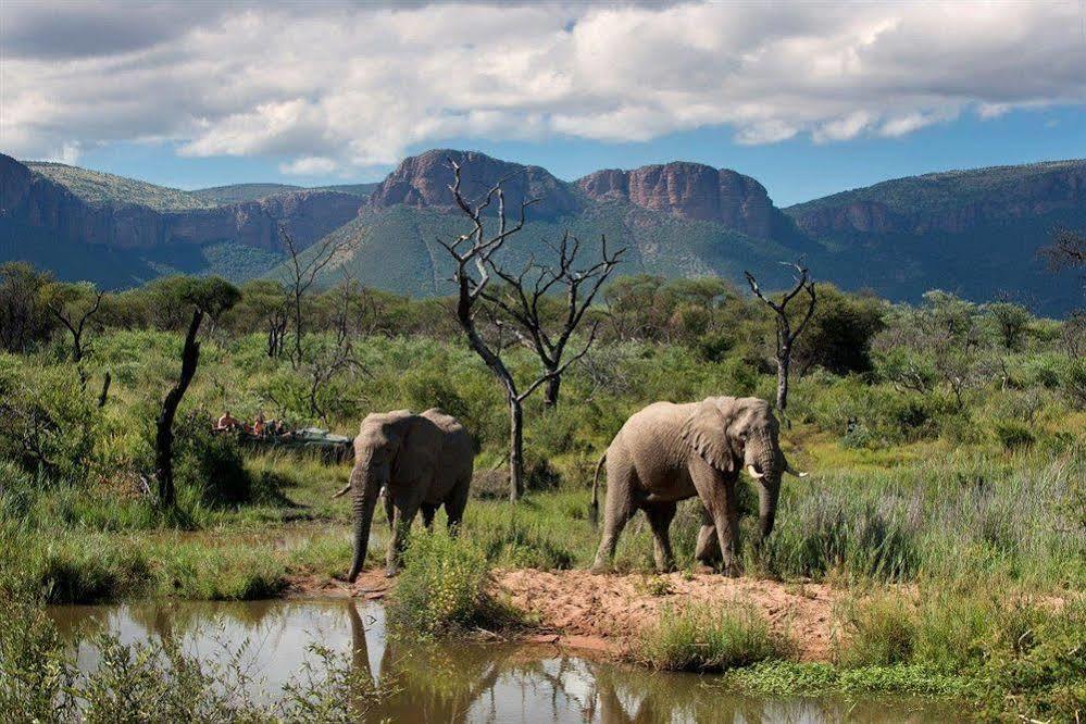 ホテル Marataba Safari Co Marakele National Park エクステリア 写真